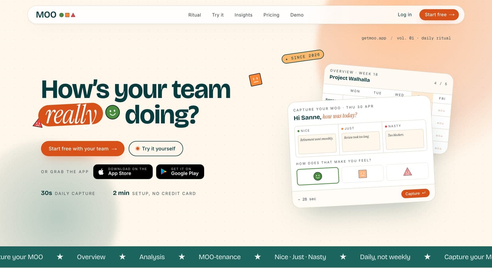 Homepage of getmoo.app
